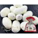  Yokohama . земля производство 100 мыс кондитерские изделия Seagull миндаль 100g ваш заказ рука земля производство сладости . новогоднее поздравление подарок на Bon Festival подарок по случаю конца года миндаль кондитерские изделия молоко миндаль 