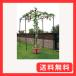 DAIM �p�[�S�� �ʕ��I �Z�b�g ��120cm ���s180cm ����180cm ���I �����I �K�[�f�� �K�[�f�j���O �I �A�[�` ���| �L�E�C
