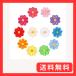 WATASHINO ���b�y�� �A�C���� �A�b�v���P �� 2cm 12���Z�b�g ���̎q �q�� �~�j �h�J (12�F)