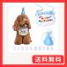 �� �a�����O�b�Y �� �a���� �X�^�C �� �o�[�X�f�[ �� �a�����X�q �L �a���� �� �a�����v���[���g �a�����X�q 3�_�Z�b�g �����t�� �� �a