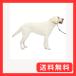 PetSafe( домашнее животное safe )jentoru Leader .. обивка предотвращение head цвет собака для прогулка тренировка four n( бежевый ) L размер 