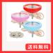 ���ԥ󥮥� ǧ�ꤳ�� �ĥХ� ���å����� (3�ĥ��å� �ѥ�����C - �ѥ��ƥ�֥롼���ѥ��ƥ�ԥ󥯡���å�)