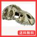 ekizo tera GEX EXOTERRA T-REX Skull S PT2860 рептилии для ракушка ta- орнамент .. дом автобус King спот W15×D