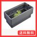 GEX ���_�J���C ���K�ɐB�P�[�X L ���e�ʖ�25L ��W60�~D30�~H30cm