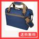 AO Coolers (顼) 12ѥå Х եȥ顼 ꥫ ֥롼 11L 