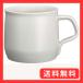 KINTO (�L���g�[) FOG �}�O 270ml �A�b�V���z���C�g �d�q�����W�E�H��@�g�p�� 26350