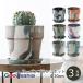 poshu living цветочный горшок urban растения pot примерно φ10×H9.5cm все 6 цвет 