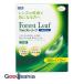 si-do forest leaf ....W двойной упаковка 360ml×2 шт. входит .
