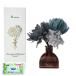 [ premium участник ограничение максимальный 33%OFF распродажа средний ]B-nature цветок букет Lead диффузор 100ml Lemongrass &amp; Bergamot bouquet