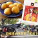  клубень небо мука Kochi 200g 1 пакет 