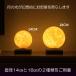 �e�[�u�� �����v ���V �� 14cm �Ɩ� ���[�� ��] ���C �t���[�e�B���O ���C�g ���r���O �Q�� ��� �C���e���A ���� ���� �M�t�g gift ���蕨 �֘A�摜1