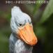 �u���� �ؐ� �n�V�r���R�E �� Shoebill �C���e���A �l�` �k�� �G�� �蒤�� �I�u�W�F �y���J�� �R�E�m�g�� �T�M �N�`�o�V �����Ȃ� �� �� �{�L�` �V���[�r�� �֘A�摜2