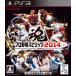  Professional Baseball Spirits 2014 - PS3