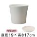 [. тарелка есть ]koti pot 19cm белый 2.5 литров цветочный горшок модный салон наружный пластик легкий симпатичный простой 