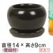 �y�󂠂�z ���픫 CF �|�b�R�� �ی^ �� �△ 14cm 0.6���b�g�� ��M�t �A�ؔ� ������� ���� [of20]