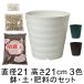 ��������� �A�ؔ� �y�E�엿�̃Z�b�g �t���O���[�|�b�g 21cm 7���� �|�{�y�Ɣ���΂Ɣ엿�̃Z�b�g