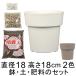 ��������� �y�E�엿�̃Z�b�g �A�ؔ� �A�C�R���|�b�g 18cm �Ɣ|�{�y�Ɣ���΂Ɣ엿�̃Z�b�g �z���C�g/�O���[����I��