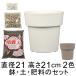 ��������� �y�E�엿�̃Z�b�g �A�ؔ� �A�C�R���|�b�g 21cm �Ɣ|�{�y�Ɣ���΂Ɣ엿�̃Z�b�g �z���C�g/�O���[����I��