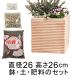 ������� �A�ؔ� �y�E�엿�̃Z�b�g �󂠂� ���� �L���[�u�^ �f�Ă��� �e���R�b�^ �� �� 26cm 10.5���b�g���� �|�{�y�Ɣ���΂Ɣ���l�b�g�Ɣ엿�̃Z�b�g