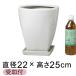  есть перевод tsurutsuru сверху круг внизу прямоугольник керамика горшок белый белый блеск иметь S 22cm 5.5 литров . тарелка есть цветочный горшок горшок покрытие керамика [of20]