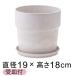 модный цветочный горшок дерево Stone pra pot 19.5cm 6 номер . тарелка есть молоко искусство Stone 