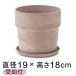  модный цветочный горшок дерево Stone pra pot 19.5cm 6 номер . тарелка есть sinamon искусство Stone 