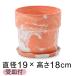  модный цветочный горшок дерево Stone pra pot 19.5cm 6 номер . тарелка есть Carrot * молоко 2 цвет мрамор 