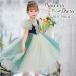  дыра .. тип платье ребенок высокое качество снег. женщина . костюм Kids Princess костюм девочка Halloween Рождество день рождения ребенок 