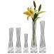  ваза маленький 5 шт. комплект модный цветок основа стекло сырой . цветок сухой цветок 