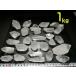 �ň��l���풆 �������� �P�����ʂ蔄�� �N���X�^�� �N�H�[�c �Ήp Crystal Quartz  �u���W���Y �S���������� �֘A�摜4