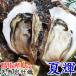  натуральный скала .. лето блестящий Tottori префектура производство море. молоко сырой еда для .1kg 3-5 шт устрица скала gaki скала ... есть натуральный сырая устрица . имеется прямая поставка от производителя бренд sashimi жарение ... внизу вода производство рефрижератор 