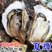  натуральный скала .. лето блестящий Tottori префектура производство море. молоко сырой еда для .2kg 4-9 шт устрица скала gaki скала ... есть натуральный сырая устрица . имеется прямая поставка от производителя бренд sashimi жарение ... внизу вода производство рефрижератор 