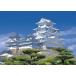  Epo k фирма 108 деталь составная картинка Япония пейзаж Himeji замок - Hyogo (18.2x25.7cm)01-063 клей . лопатка имеется пункт число талон имеется EPOCH