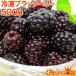  BlackBerry рефрижератор BlackBerry 500g×1 рефрижератор фрукты yonanas