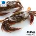  soft shell Club cocktail size approximately 35g×30 pcs (1 kilo entering ). crab crab molting gani high capacity 