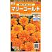 sakata. tane реальный . цветок 7632 Marie Gold bo наан The orange 00907632
