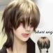  парик Short Wolf cut природа полный парик ike men мужчина оборудование сетка высокий свет женский мужской для мужчин и женщин парик костюмированная игра обычно используя маленький лицо жаростойкий 