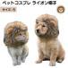  домашнее животное головной убор шляпа собака кошка собака кошка .... костюмированная игра маскарадный костюм костюм симпатичный Kawai i симпатичный домашнее животное костюмированная игра лев S размер PTC-LS для домашних животных 