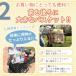 �d���A�V�X�g���]�� 20�C���` 3�� �m�[�p���N�^�C�� �O�֎� ��l�p ����� �p���N���Ȃ� �V�j�A �֘A�摜5