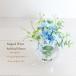  blue star magical water artificial flower glass a-tifi car ru flower arrangement stylish free shipping fake green 