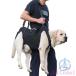  уход . собака уход для товары для ухода уход для Harness собака приспособление для ходьбы Harness домашнее животное zonchi- Harness уход сопутствующие товары маленький размер собака средний собака большой собака . собака . применение товары для домашних животных домашнее животное товары 