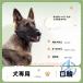 �� ���� �}�Y�� ������ ���̌��� ���ʖi�� ���݂� �E���H���h�~ �}�X�N ioso ���b�V�� �������ȒP �����p ���o���� ���S ���K ���^�� ���^��