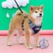 �n�[�l�X �X�e�b�v�n�[�l�X �E�F�A�n�[�l�X ��� �� ���^�� ���^�� �Č� ioso �����Ȃ� �����ɂ��� ���b�N ���S�̏��Ȃ� ���p ���p �n���h���t��