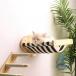 �x�b�h �L���b�g�X�e�b�v �Ǖt�� �K�i 4�i �L�p �L���b�g�E�H�[�N �ؐ� ioso �L�p�X�e�b�v DIY �������ȒP �����p ���o���� ���S ���K ���^��