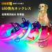��� �� ���� ������� �L LED���C�g USB�[�d�� �n�[�l�X ioso ���^�� ���^�� ��^�� �y�b�g�p�i �U�� ���ł��� �h�b�O�O�b�Y ���S ���킢��