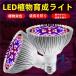LED �A���琬���C�g �X�^���h �A���~�� LED�d�� E26�����p �����͔| ioso ���� �ϗt�A�� �͔|�����v ���z�� ���ƕs������ 30W 50W 80W 100W UV/IR ��؍H��