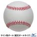  Mizuno (MIZUNO) 1GJYB13100 автограф для мяч бейсбол мяч размер автограф мяч бейсбол 