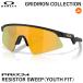 �y���������zOAKLEY�i�I�[�N���[�j OJ9015-1328 RESISTOR SWEEP Youth Fit GRIDIRON COLLECTION Prizm 24K-Matte Black Splatter �W���j�A�p�T���O���X 9009