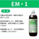 EM�E1 1L �L�p������ �y����� EM������ �֘A�摜1