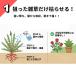 �꓁���f ������ 5L�~4�{ �O���z�T�[�g41% ��_�k�n�p ��� �t�� ���ԏ� ���H �󂫒n �Ɩ��p 20L �܂Ƃߔ��� �֘A�摜4